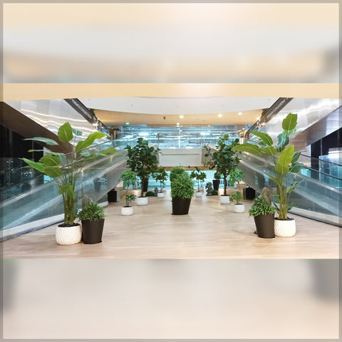 Hanging Leaves and Plants Decoration