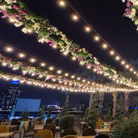 Decorative outdoor lighting