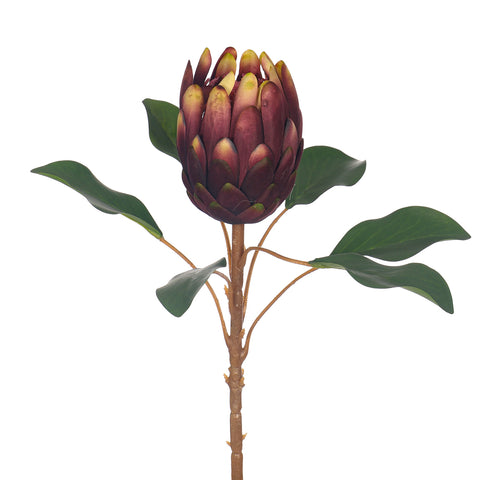 Realistic Artificial King Protea Stem