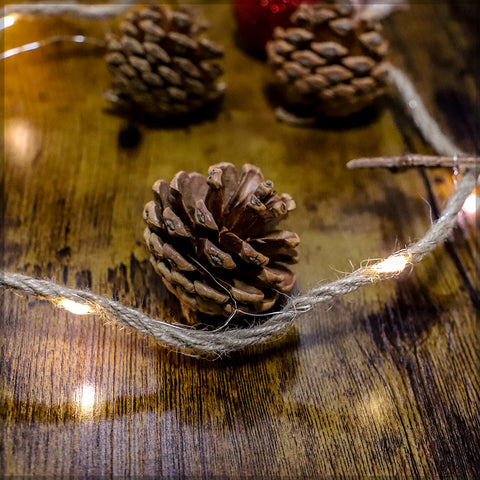 Star and pine LED lights string