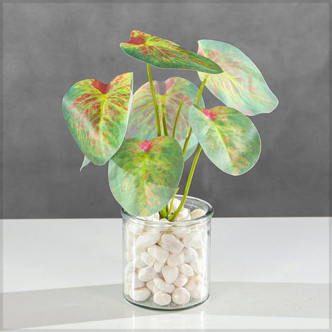 Faux Peperomia Caperata Leaves Bunch