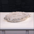 Modern cement flower vase with leaf design