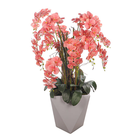 Natural look peach orchid