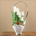 White tulips Dubai