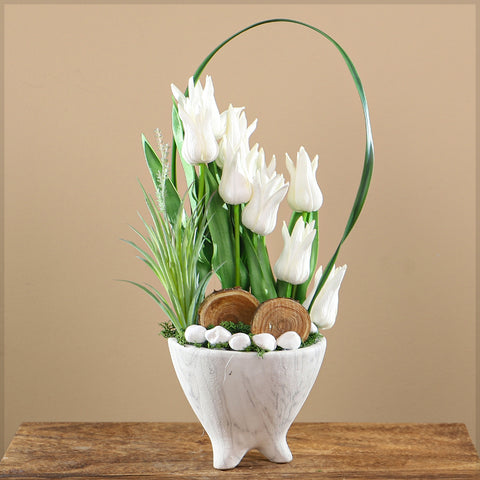White tulips Dubai