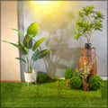 Decorative moss