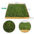 Decorative Moss Wall Sheets