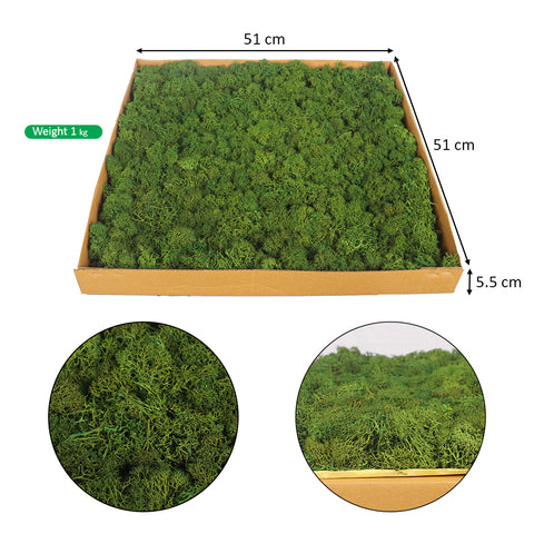 Decorative Moss Wall Sheets