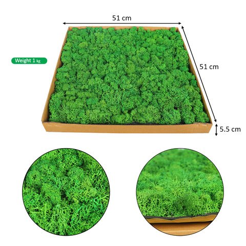 Green Wall Panels