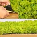 Moss Wall Cladding for Décor