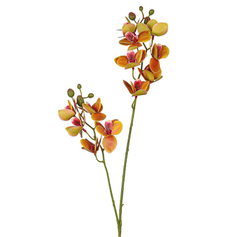 Artificial moth orchid