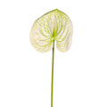 luxury anthurium floral arrangement