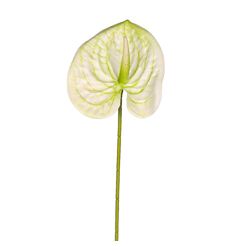 luxury anthurium floral arrangement
