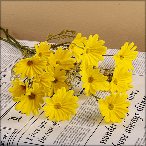 Long stem daisy