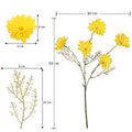 Realistic daisy stem