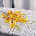 Dancing Lady Orchid Flower Stem