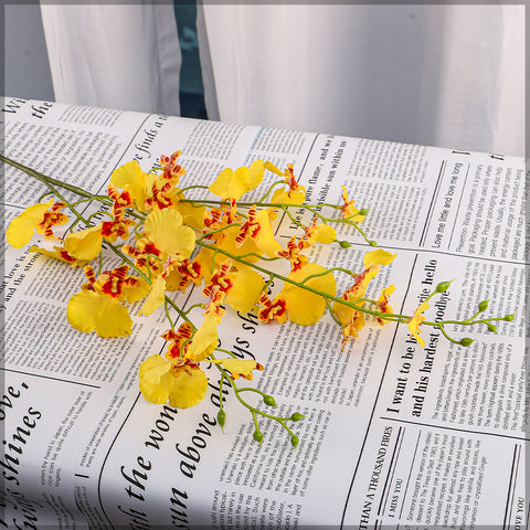 Dancing Lady Orchid Flower Stem