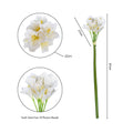 faux white kaffir lily
