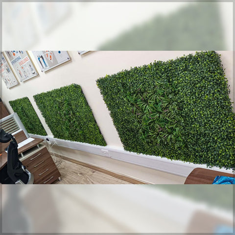 green wall for office