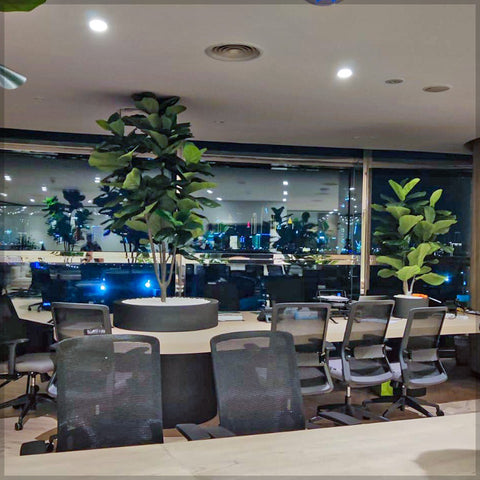 office artificial plants