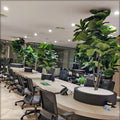 fake plants for desk decoration