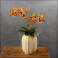Orchid flowers arrangement