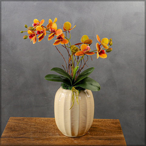 Orchid flowers arrangement
