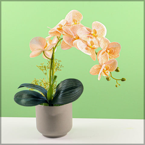 Artificial Orchid Flowers in Different Colors