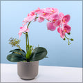 artificial orchids Dubai