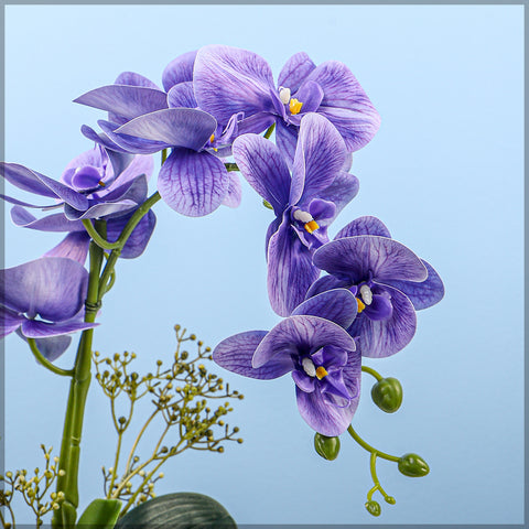 Artificial Orchid Flowers in Different Colors