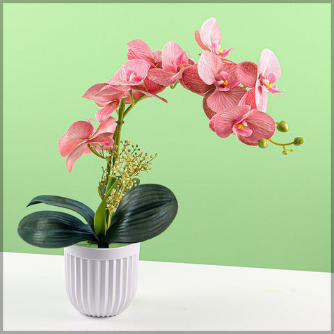 Artificial Orchid Flowers in Different Colors