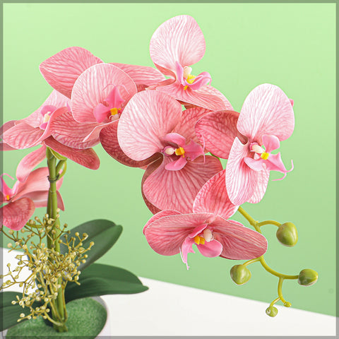 Artificial Orchid Flowers in Different Colors
