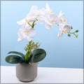 artificial orchids