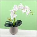 silk orchids