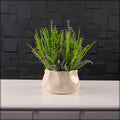 Stylish cream ceramic pot