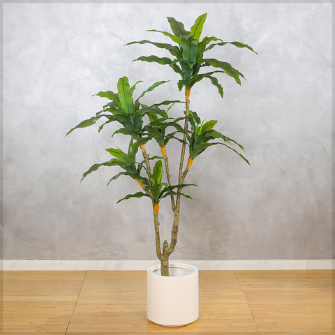 Lifelike Artificial Dracaena Tree
