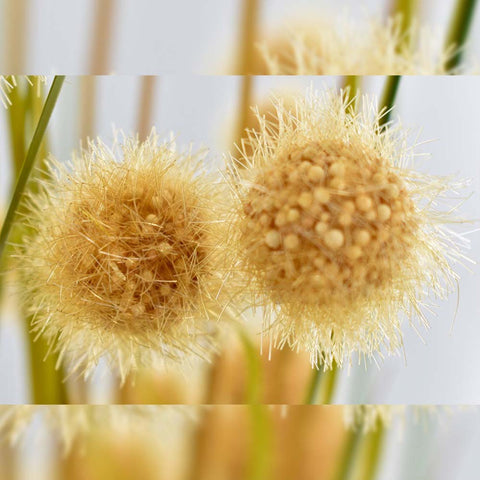 Decorative Artificial Plant