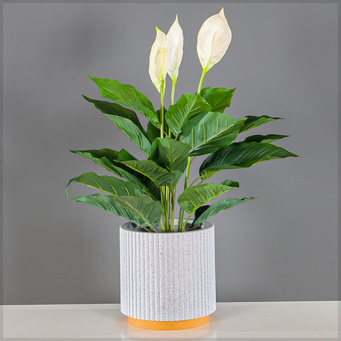 Modern Ribbed Plastic Planter with Terracotta Base