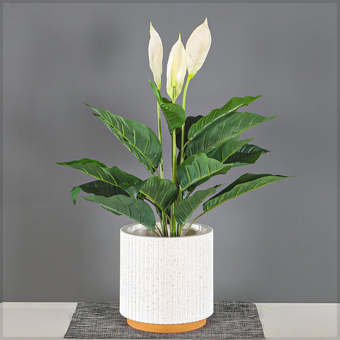 Modern Ribbed Plastic Planter with Terracotta Base