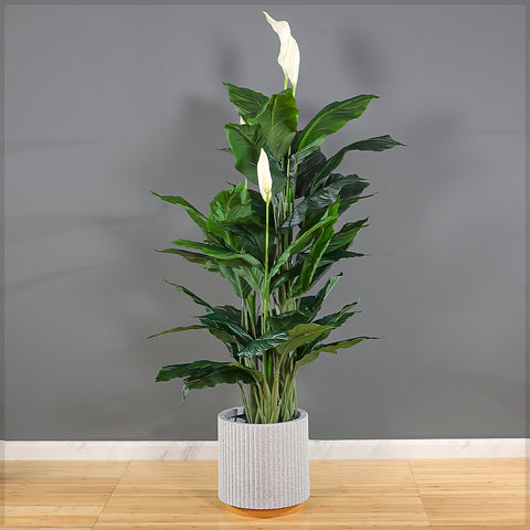 Modern Ribbed Plastic Planter with Terracotta Base