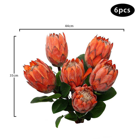 King protea flower
