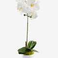 Faux white orchid