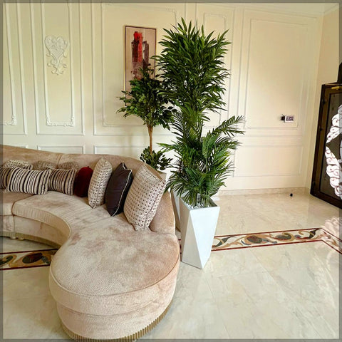 palm leaves