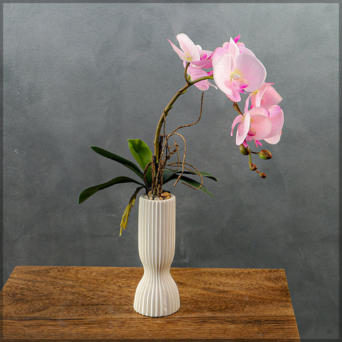 Orchid flowers arrangement with pot
