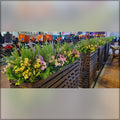 artificial window box arrangements