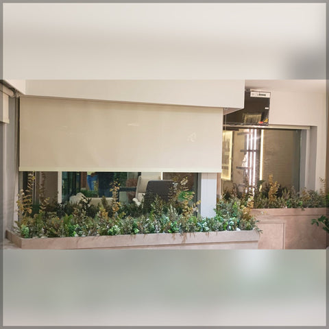 plant wall decor