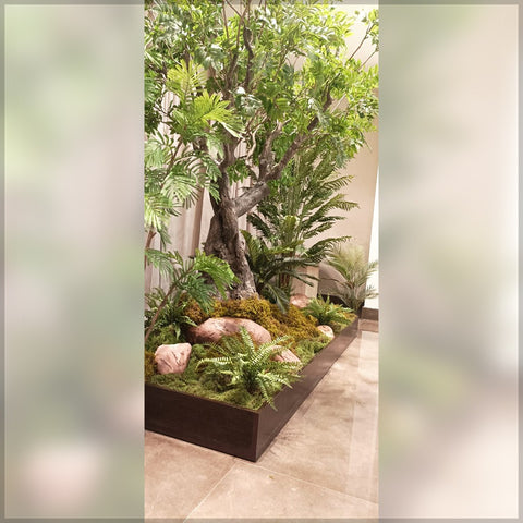 living room plants
