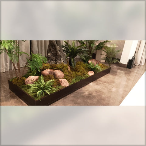 indoor plants