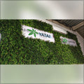 plastic grass sheet wall decoration