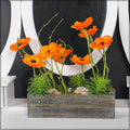 Realistic Poppy Flowers